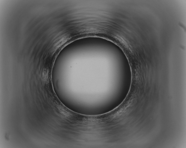 X0000091490873200708231420