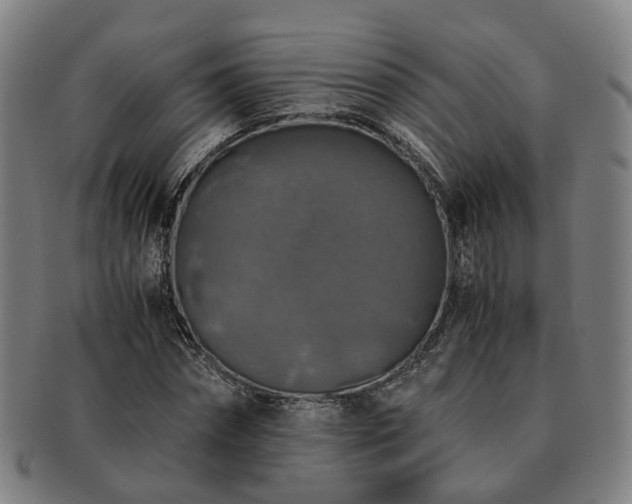 X0000091490874200708231420