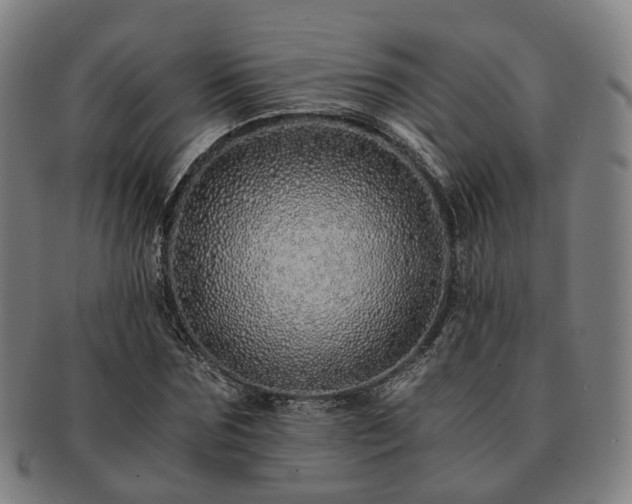 X0000091490875200708231420