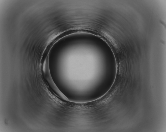 X0000091490876200708231420