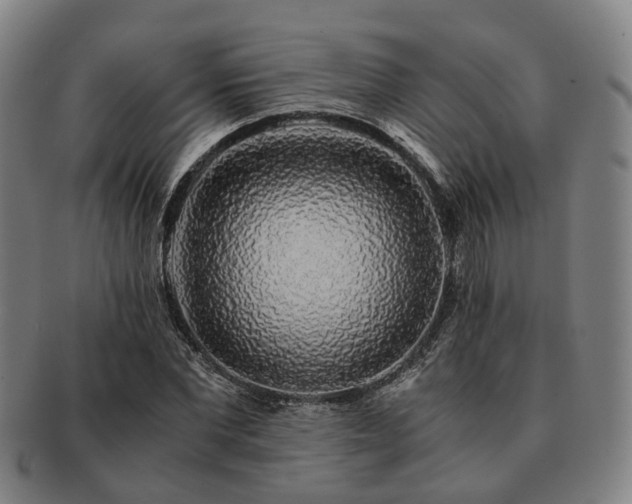 X0000091490877200708231420