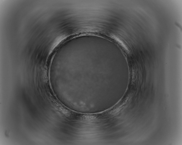 X0000091490878200708231420