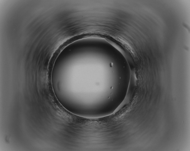 X0000091490880200708231420