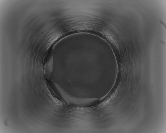 X0000091490881200708231420