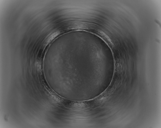 X0000091490882200708231420