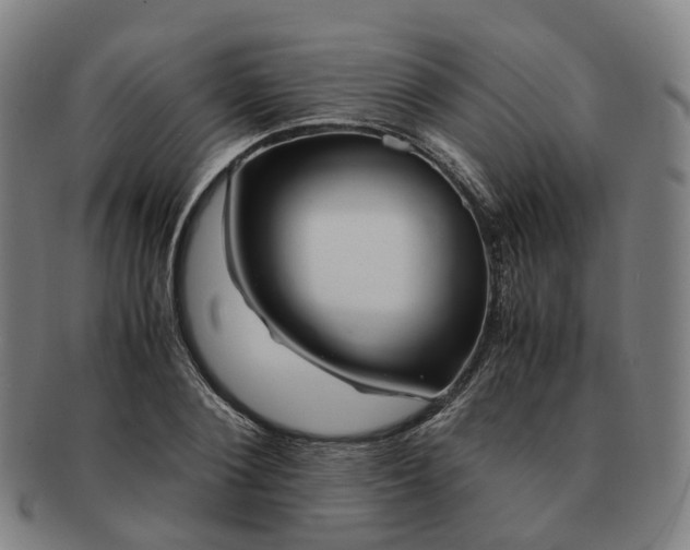 X0000091490884200708231420