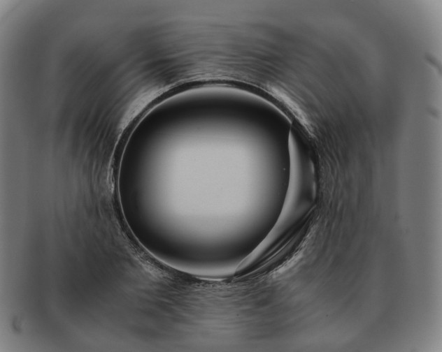 X0000091490885200708231420