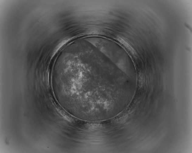 X0000091490886200708231420
