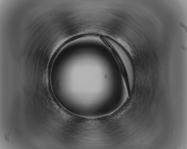 X0000091490888200708231420