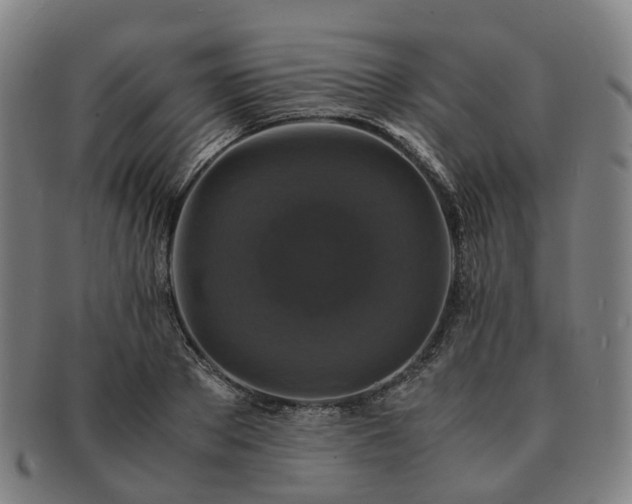 X0000091490889200708231420