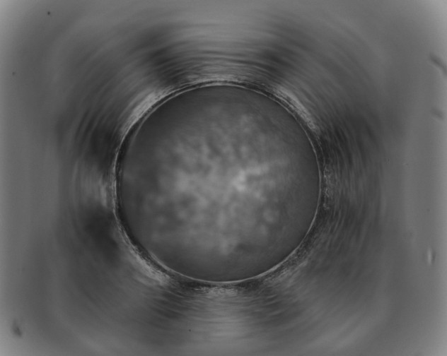 X0000091490890200708231419