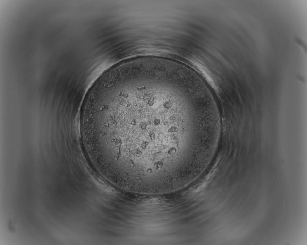 X0000091490891200708231419