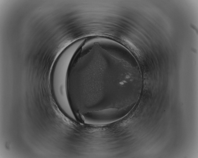 X0000091490892200708231419