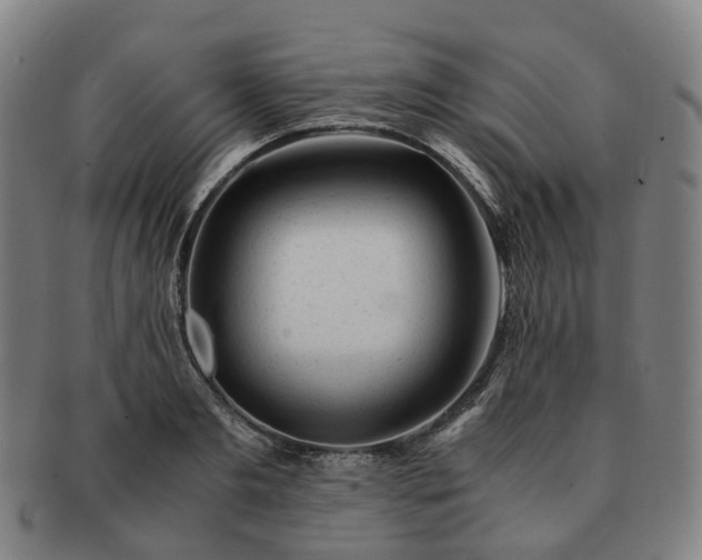 X0000091490893200708231419