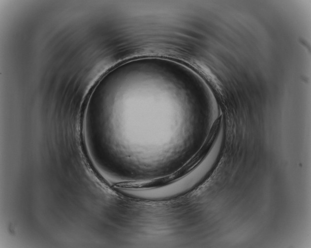 X0000091490896200708231419