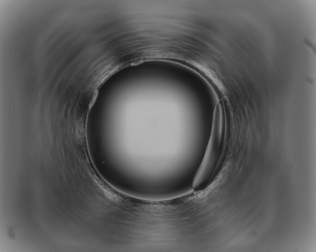 X0000091490897200708231419