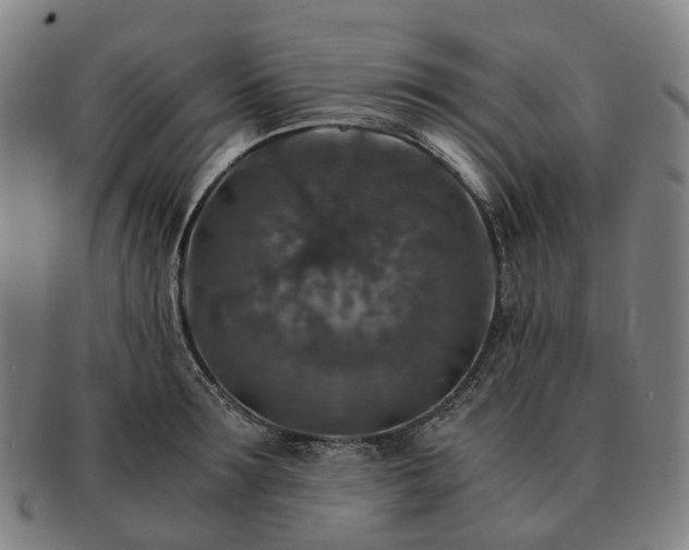 X0000091490899200708231419
