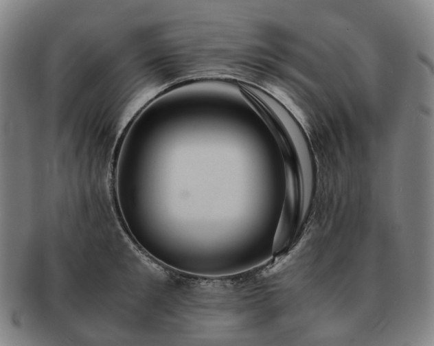 X0000091490901200708231419
