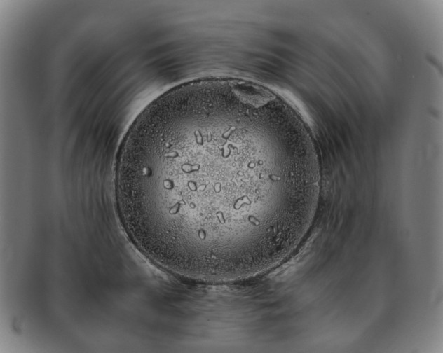 X0000091490903200708231419