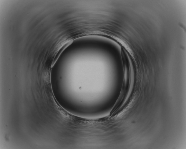 X0000091490905200708231419