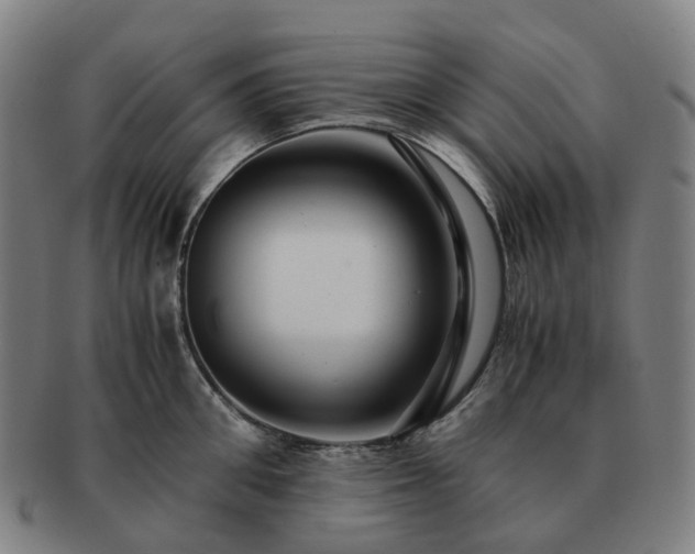 X0000091490906200708231419