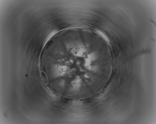 X0000091490907200708231419
