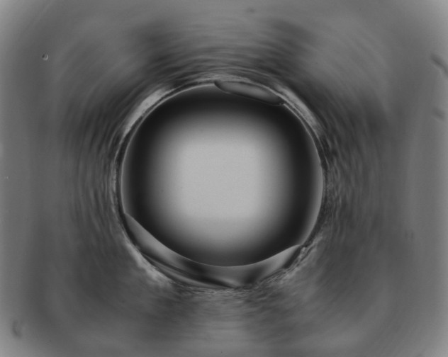 X0000091490909200708231419