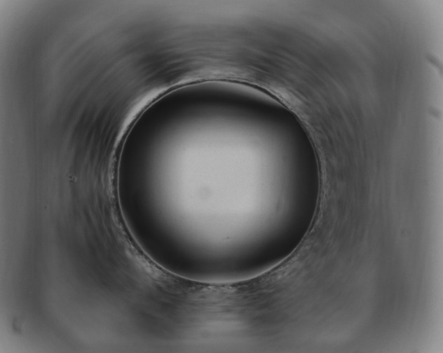 X0000091490912200708231419
