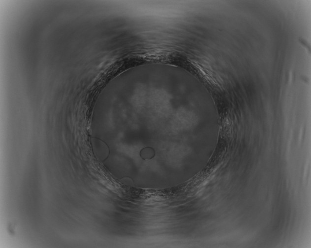 X0000091490913200708231419