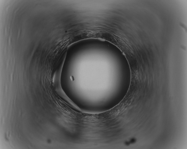 X0000091490914200708231419