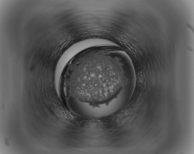 X0000091490916200708231419
