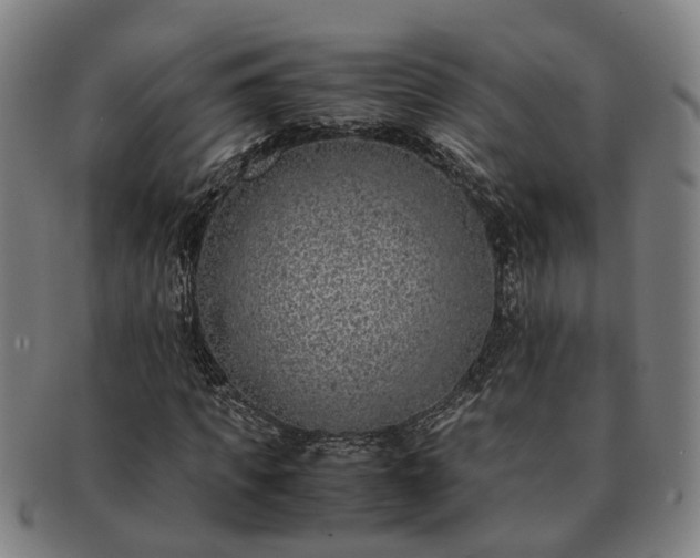 X0000091490917200708231419