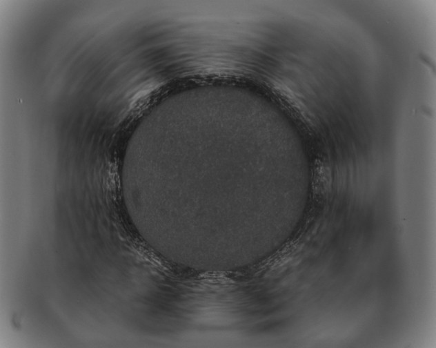 X0000091490918200708231419