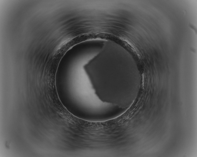 X0000091490919200708231419