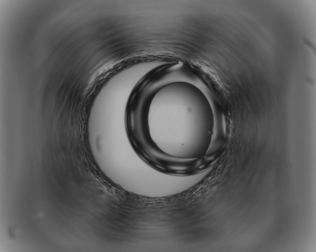 X0000091490920200708231419