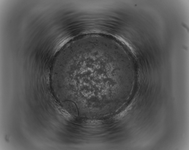 X0000091490921200708231419