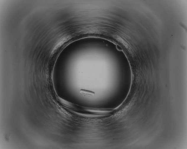 X0000091490922200708231419