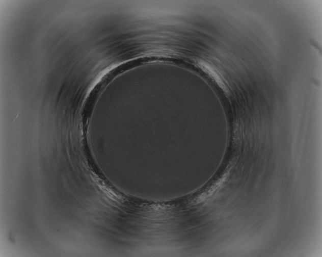 X0000091490923200708231419