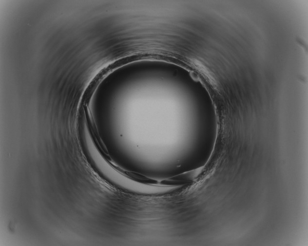 X0000091490924200708231419