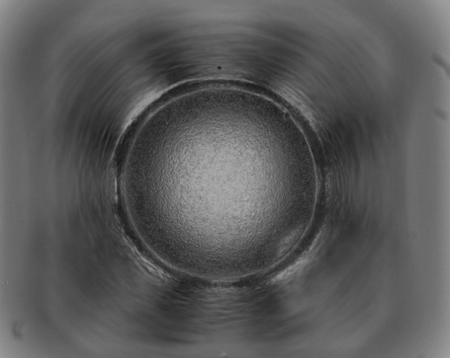 X0000091490925200708231419