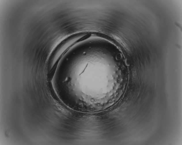 X0000091490926200708231419