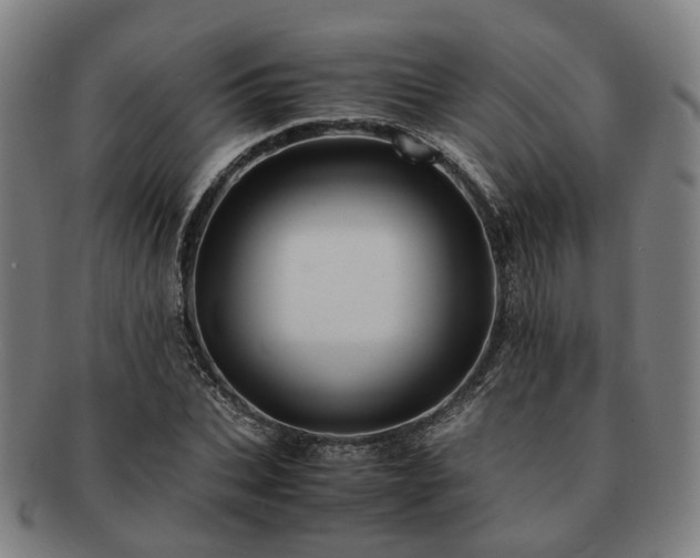 X0000091490927200708231419