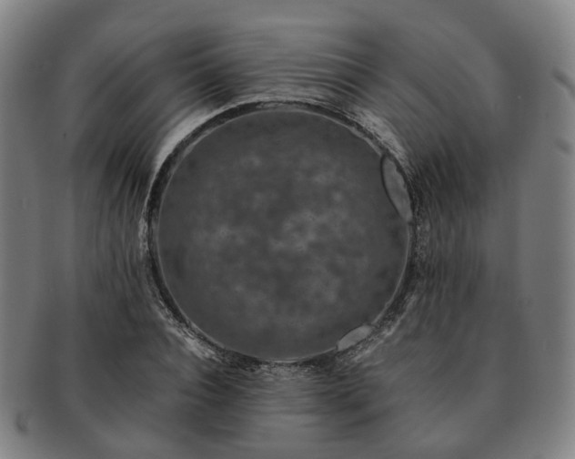 X0000091490928200708231419