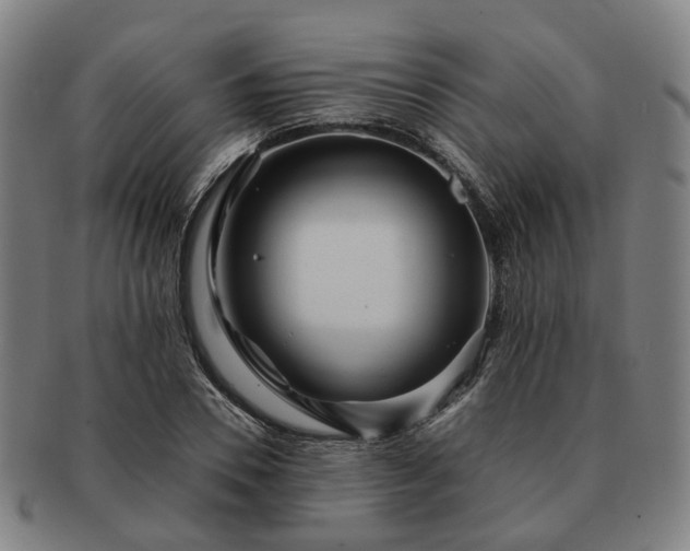 X0000091490930200708231419