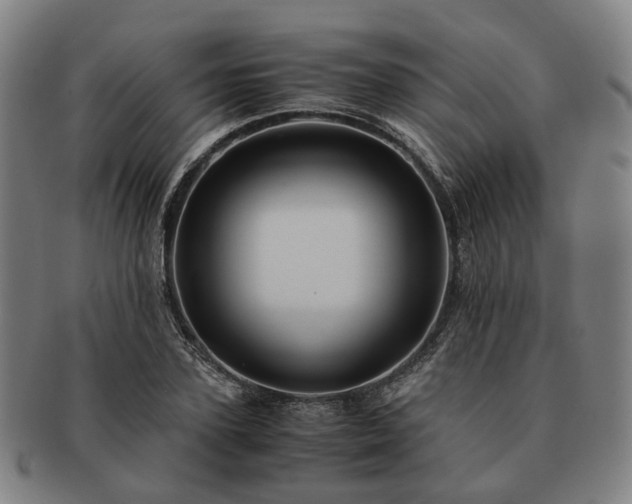 X0000091490931200708231419