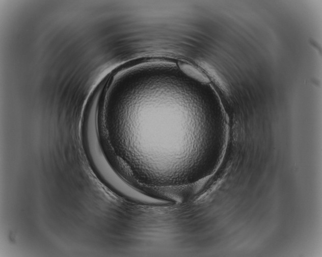 X0000091490932200708231419