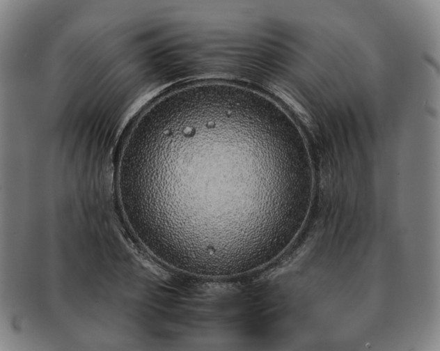 X0000091490933200708231419