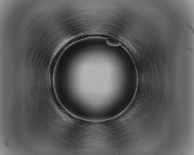 X0000091490934200708231419
