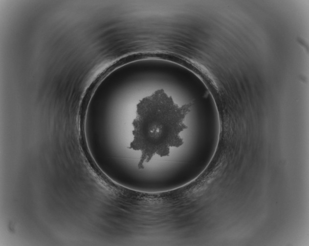 X0000091490935200708231419