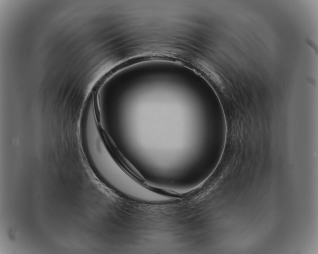 X0000091490936200708231419
